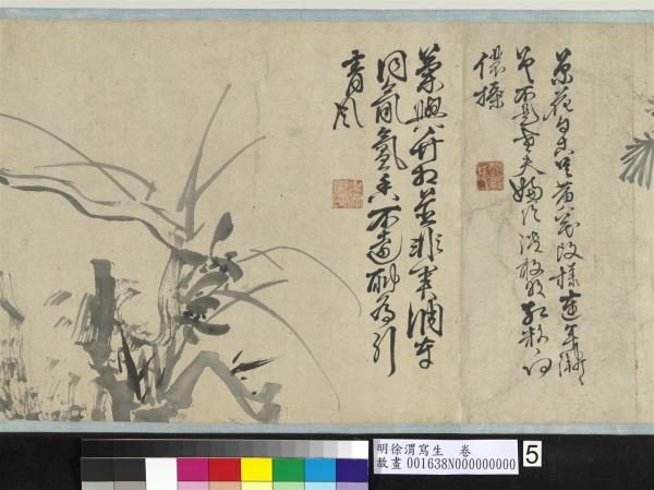 明徐渭寫生　卷