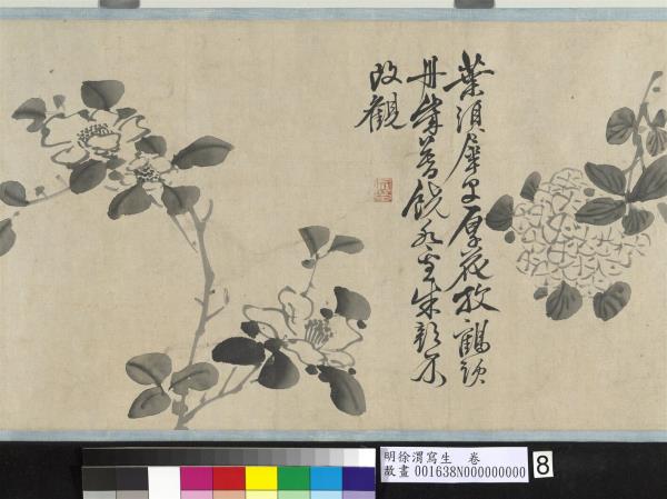 明徐渭寫生　卷