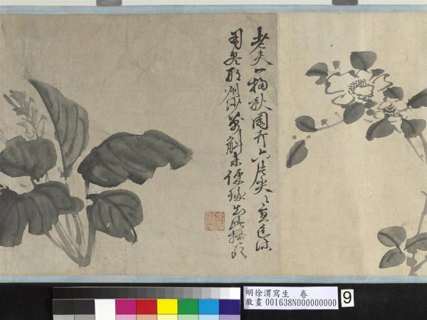 明徐渭寫生　卷