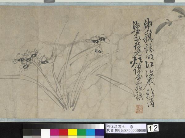 明徐渭寫生　卷