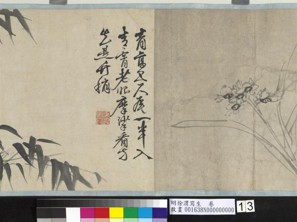 明徐渭寫生　卷