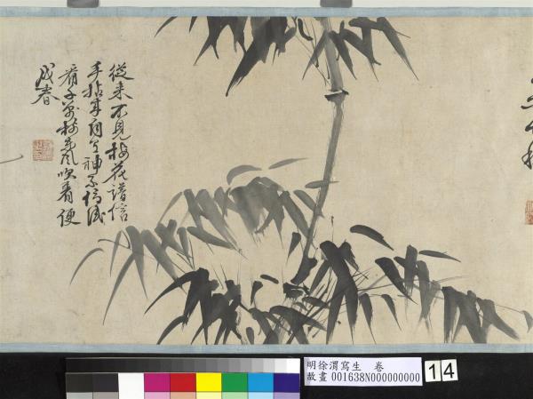 明徐渭寫生　卷