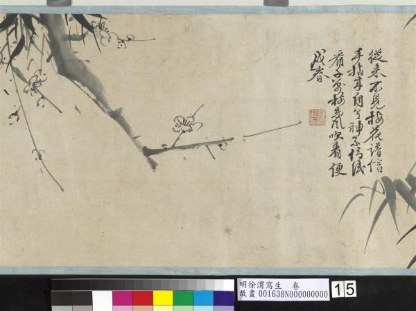 明徐渭寫生　卷