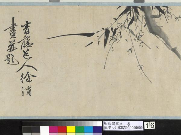 明徐渭寫生　卷