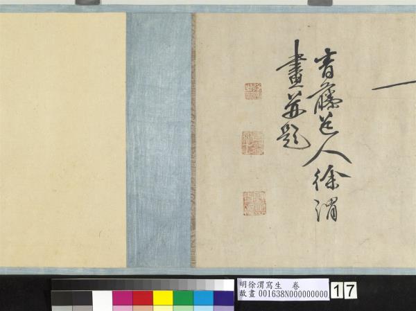 明徐渭寫生　卷