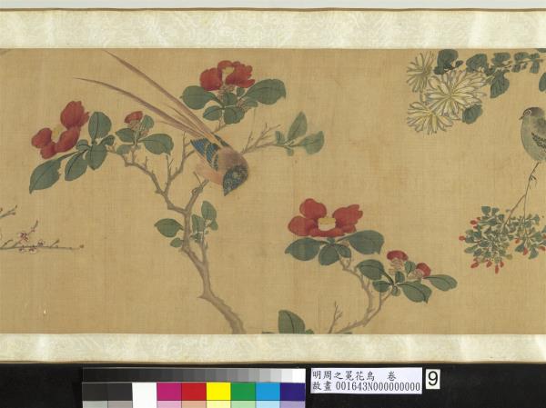 明周之冕花鳥　卷