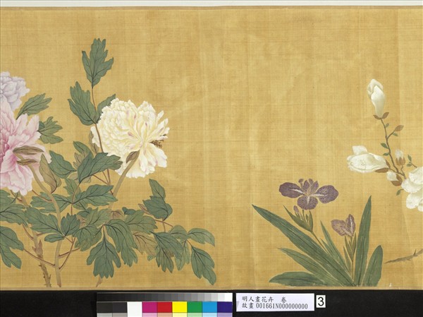 明人畫花卉　卷