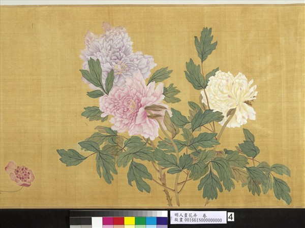 明人畫花卉　卷