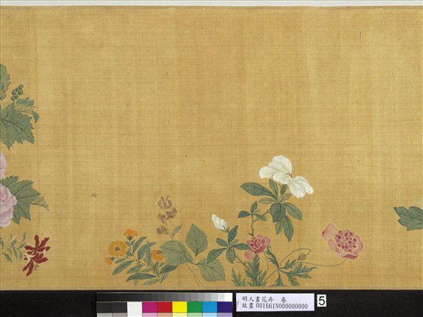 明人畫花卉　卷