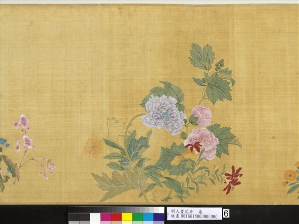 明人畫花卉　卷