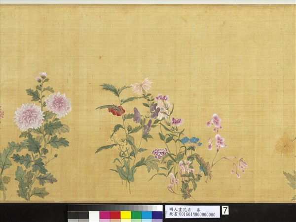 明人畫花卉　卷