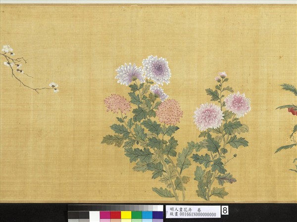 明人畫花卉　卷