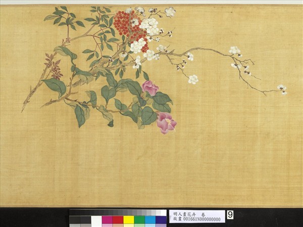 明人畫花卉　卷