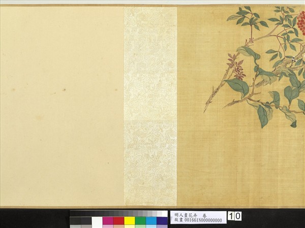 明人畫花卉　卷