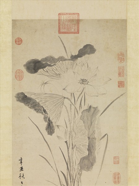 明陳淳瓶荷寫生　軸