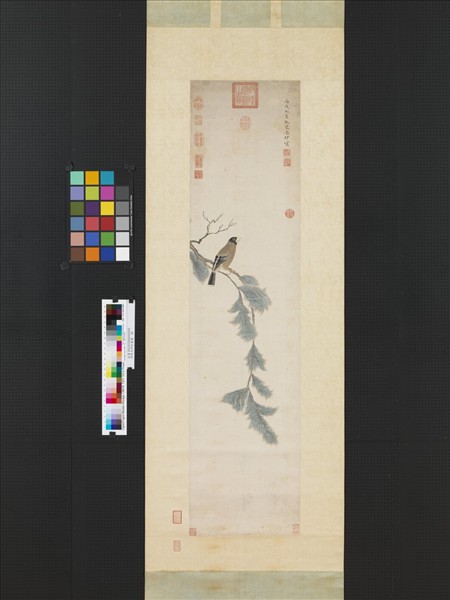 明談志伊松禽圖　軸