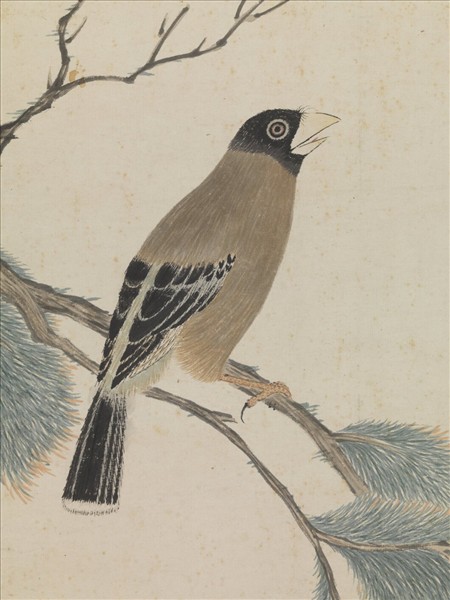 明談志伊松禽圖　軸