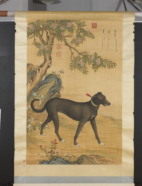 清郎世寧畫十駿犬雪爪盧　軸