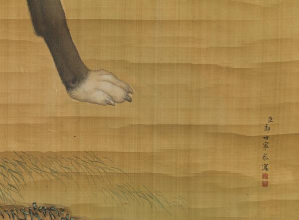 清郎世寧畫十駿犬雪爪盧　軸