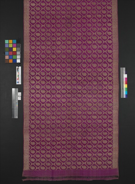 印度 紫地草履蟲紋織金錦紗麗