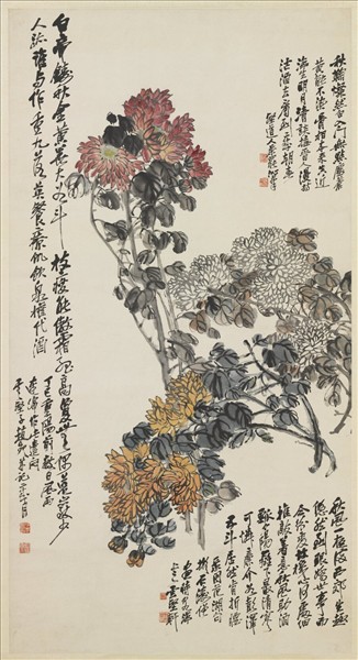 民國趙起菊花　軸