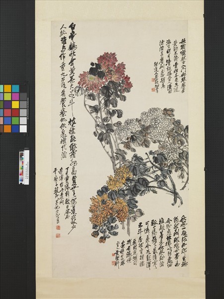 民國趙起菊花　軸