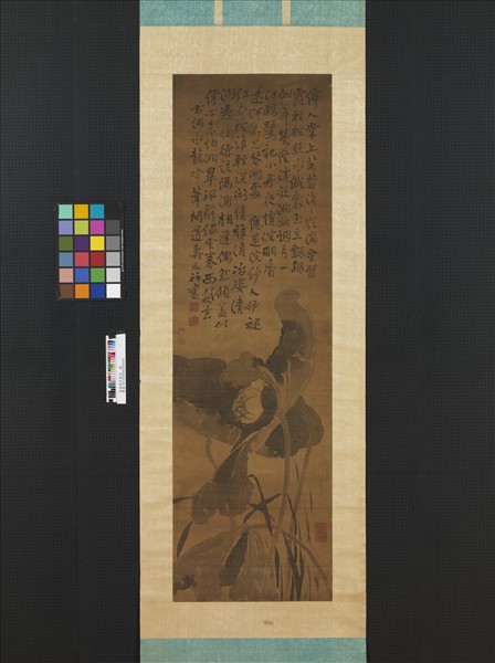 清邊壽民墨荷軸