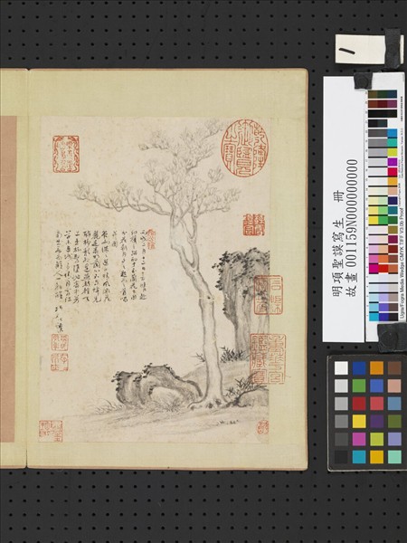 明項聖謨寫生　冊　玉蘭