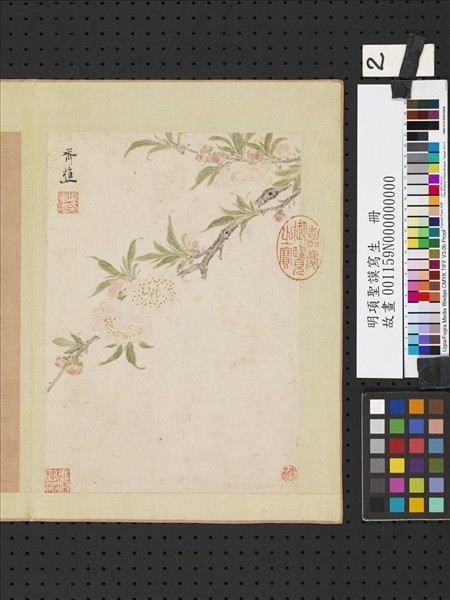 明項聖謨寫生　冊　碧桃花