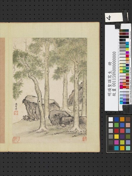 明項聖謨寫生　冊　青桐