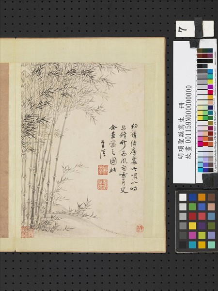 明項聖謨寫生　冊　竹