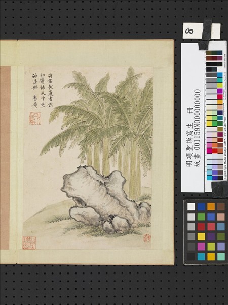 明項聖謨寫生　冊　蕉