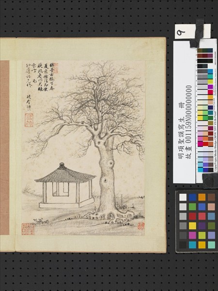 明項聖謨寫生　冊　秋林亭子