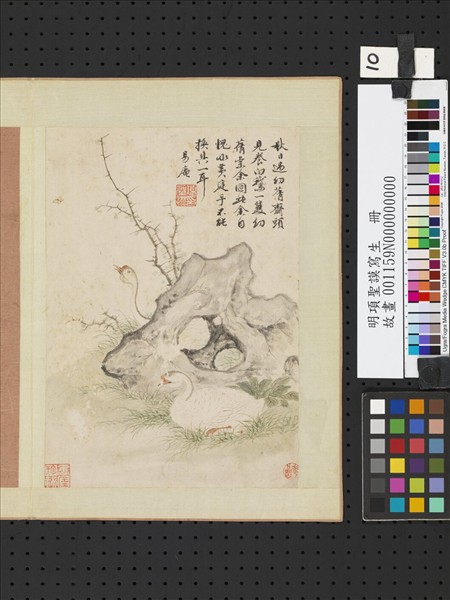 明項聖謨寫生　冊　白鵝