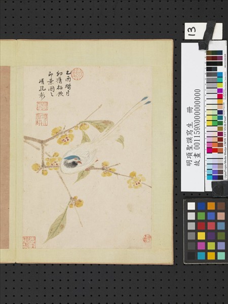 明項聖謨寫生　冊　蠟梅練雀