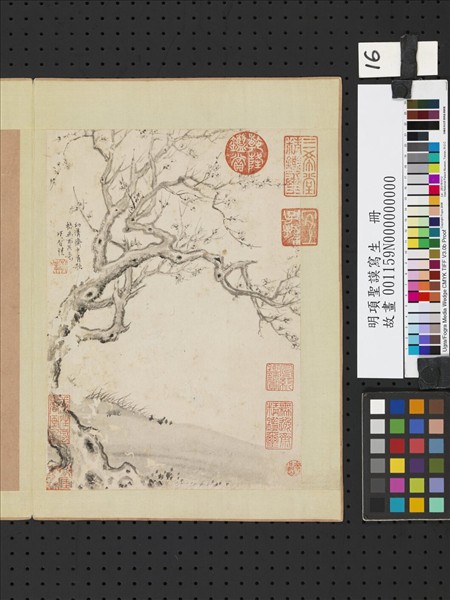 明項聖謨寫生　冊　梅花