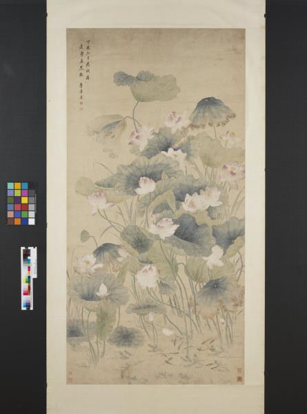 清余省荷花   軸