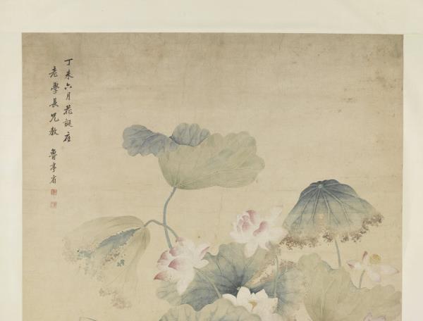 清余省荷花   軸