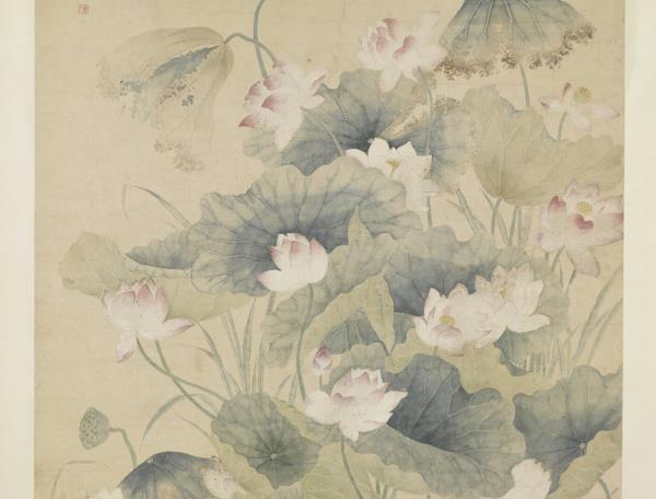 清余省荷花   軸