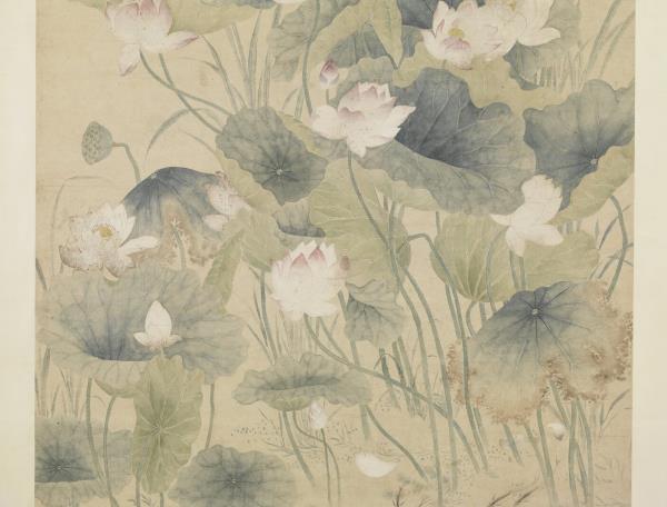 清余省荷花   軸