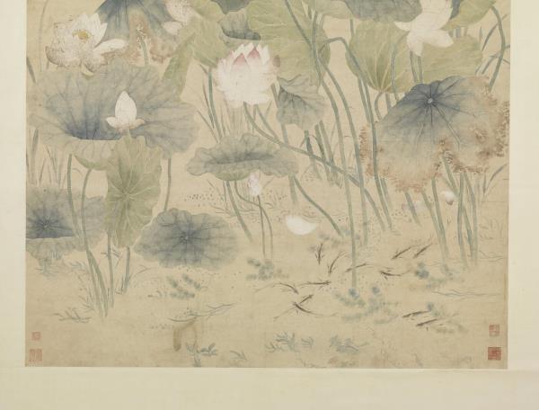 清余省荷花   軸