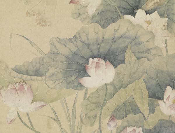 清余省荷花   軸