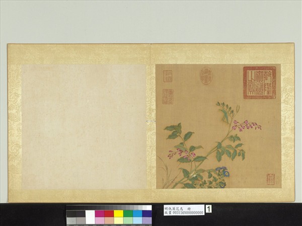 明仇英花鳥　冊　菊花蝗蟲