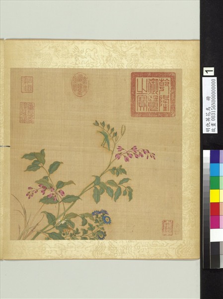 明仇英花鳥　冊　菊花蝗蟲