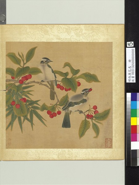 明仇英花鳥　冊　櫻桃