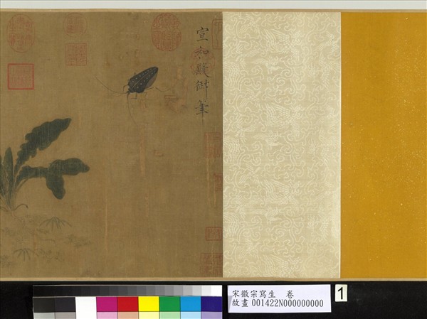 宋徽宗寫生　卷