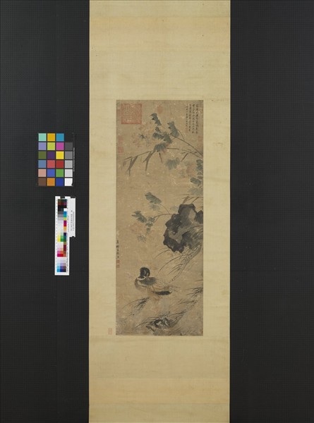 明王維烈蓉塘秋鴨圖　軸