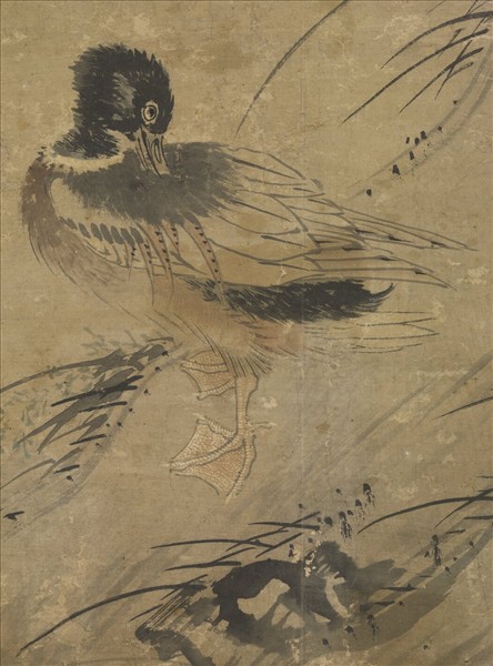 明王維烈蓉塘秋鴨圖　軸