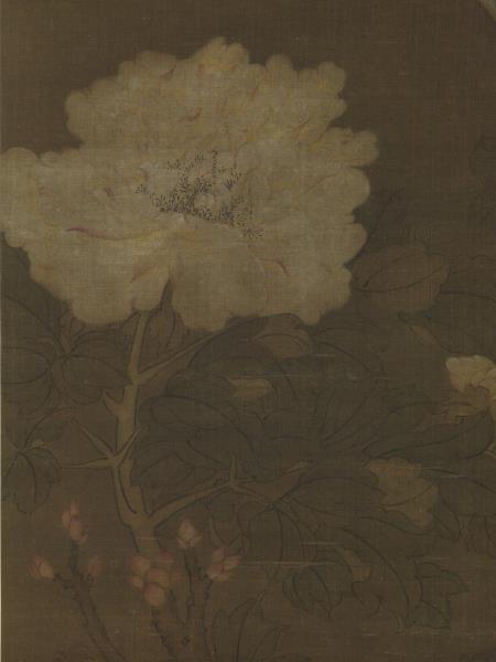 五代後蜀滕昌祐牡丹　軸