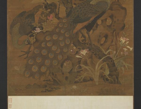 宋崔白畫枇杷孔雀　軸